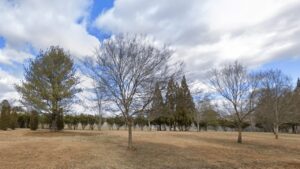 Rural Hill Nature Preserve Huntersville NC