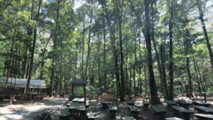 The Carolina Raptor Center Huntersville NC